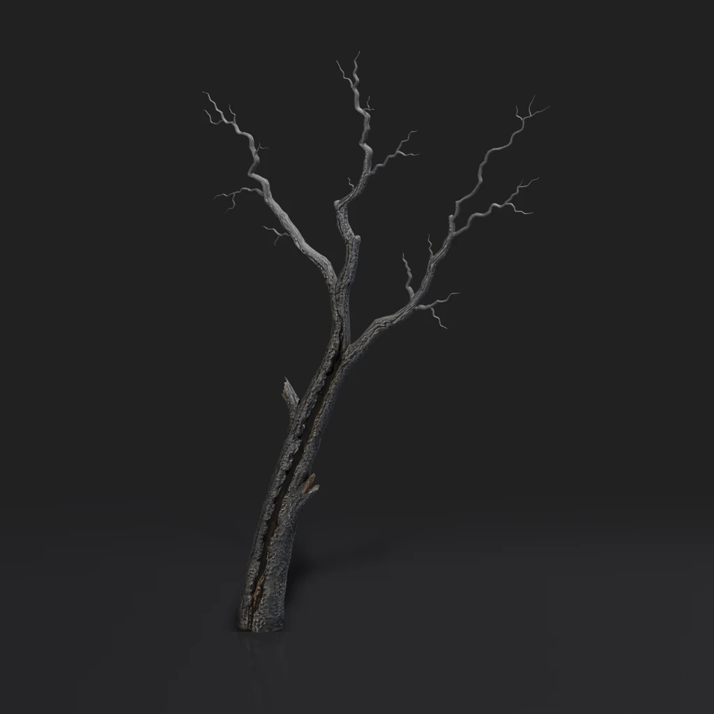 Dead Tree Trunk And Branches