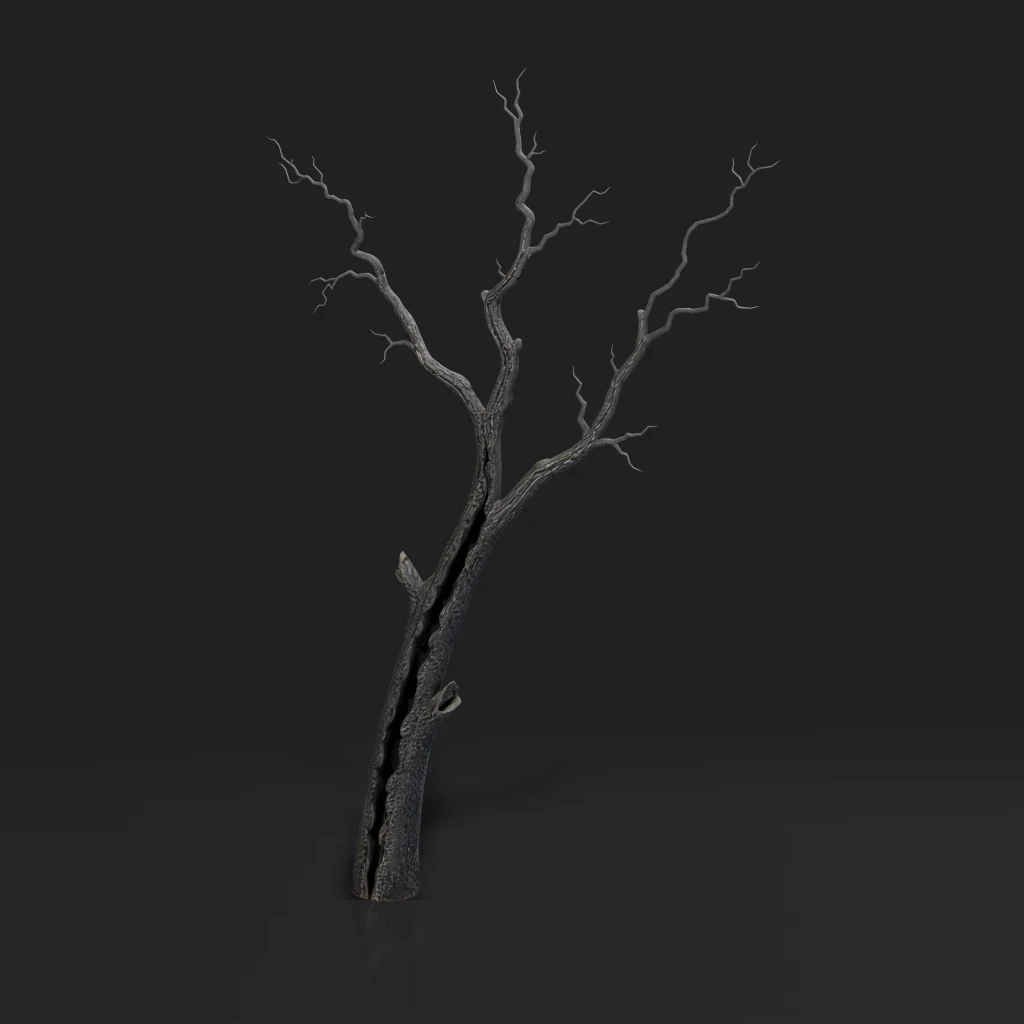 Dead Tree Trunk And Branches